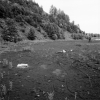 beggendorf_pa_07