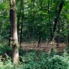faeden_bedburg002