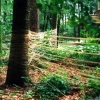 faeden_bedburg003