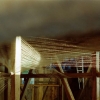 w-kock_a-m-can_werenzhein_09