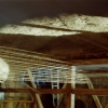w-kock_a-m-can_werenzhein_10
