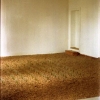 w-kock_a-m-can_werenzhein_24