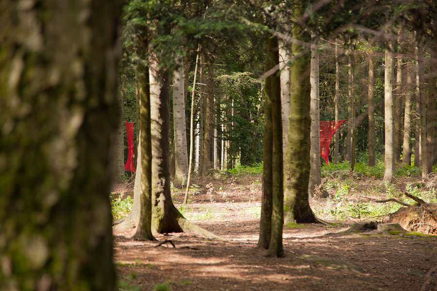 w-kock_a-m-can_kukuk2011_15