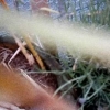 cosmic-slop2-19_0020