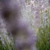 cosmic-slop2-19_0022