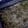 cosmic-slop2-19_0036