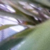 cosmic-slop2-19_0048