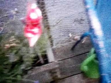 cosmic-slop2-19_0003