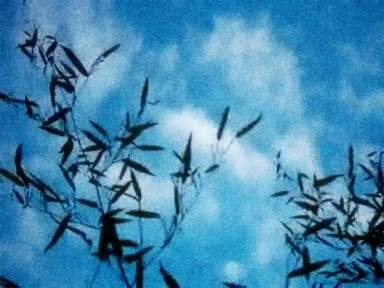 cosmic-slop2-19_0012