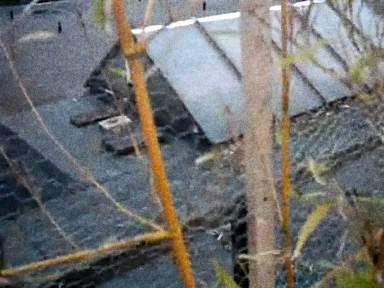 cosmic-slop2-19_0018