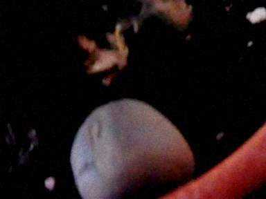 cosmic-slop2-19_0034