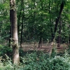 faeden_bedburg002