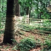 faeden_bedburg003