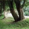 faeden_eifel007
