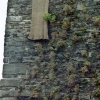 monschau_burgschal006