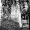roedingen_04