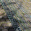 irenek_hofac0809331